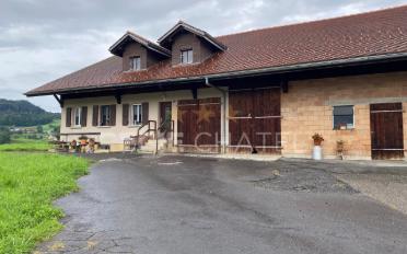 Wohnung 5.5 Zimmer - image - 1