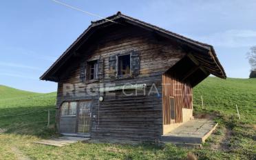 Einfamilienhaus 2 Zimmer - image - 10