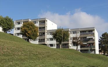 Wohnung 4 Zimmer - image - 13