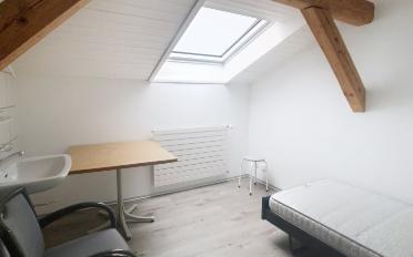 Single room 1 room - image - 2