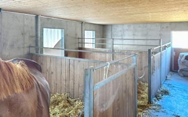 Landwirtschaftsbetrieb 4.5 Zimmer - image - 7