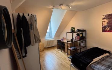 Appartement 5.5 pièces - image - 8