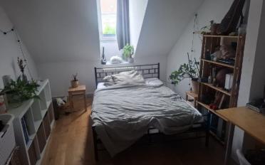 Appartement 5.5 pièces - image - 9