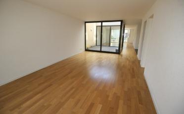 Loft 2.5 Zimmer - image - 4
