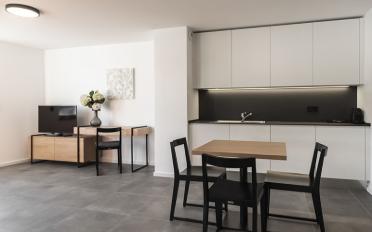 Furnished flat 1 room - image - 4