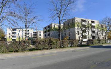 Place couverte - image - 1
