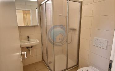 Appartement 4.5 pièces - image - 10