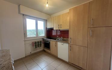 Duplex 7 Zimmer - image - 3