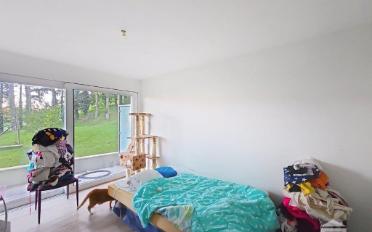 Wohnung 2.5 Zimmer - image - 4