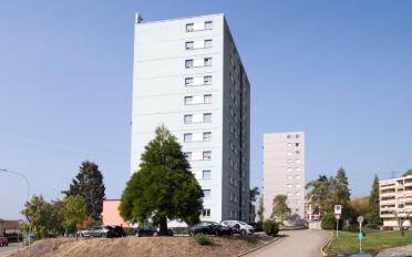 Wohnung 2 Zimmer - image - 9