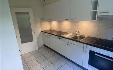 Appartement 5.5 pièces - image - 3