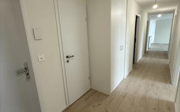 Appartement 4.5 pièces - image - 13