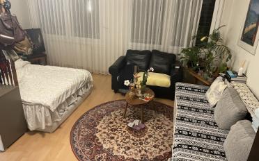 Wohnung ein Zimmer - image - 1