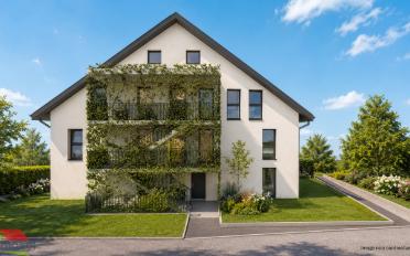 Wohnung 3.5 Zimmer - image - 3
