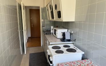 Furnished flat 1.5 rooms - image - 10