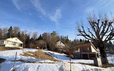 Bauland - image - 4
