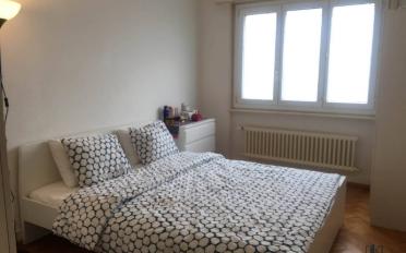 Wohnung 2 Zimmer - image - 3