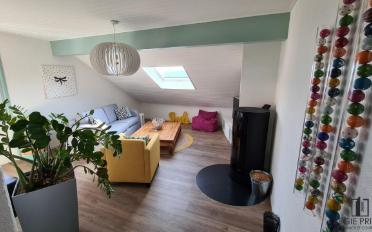 Wohnung 2.5 Zimmer - image - 1