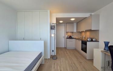Appartement meublé 1.5 pièces - image - 2