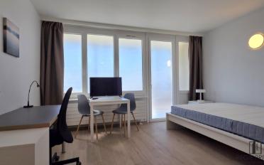 Appartement meublé 1.5 pièces - image - 1