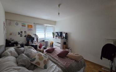 Wohnung 2.5 Zimmer - image - 3