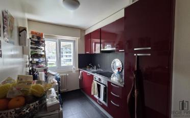Wohnung 2.5 Zimmer - image - 2