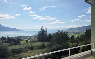 Furnished flat 2.5 rooms - image - 3