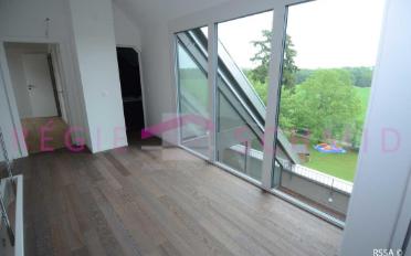 Duplex 6 Zimmer - image - 7
