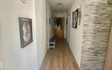 Wohnung 2.5 Zimmer - image - 3