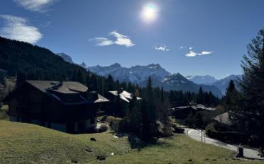 Chalet 8 pièces - image - 5