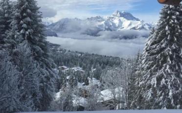 Chalet 7 rooms - image - 3