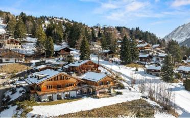 Chalet 9 pièces - image - 2