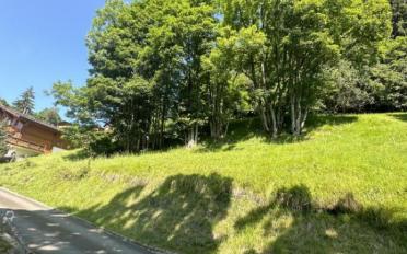 Terrain à bâtir - image - 2
