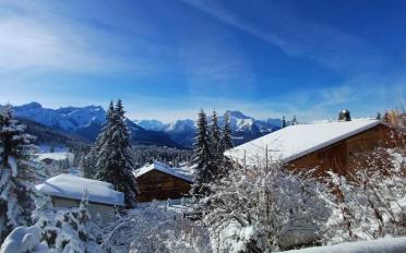 Chalet 8 Zimmer - image - 7