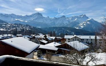 Chalet 11.5 rooms - image - 3