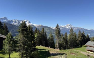 Chalet 5 Zimmer - image - 8