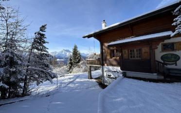 Chalet 4 rooms - image - 1