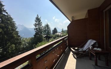 Wohnung 2.5 Zimmer - image - 13