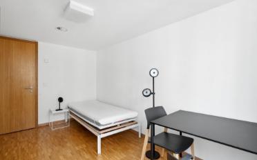 Appartement meublé 1 pièce - image - 5