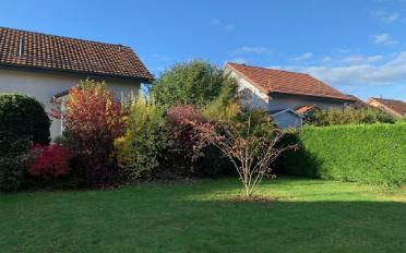 Einfamilienhaus 6.5 Zimmer - image - 3