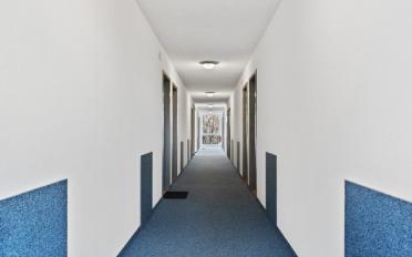 Wohnung ein Zimmer - image - 5