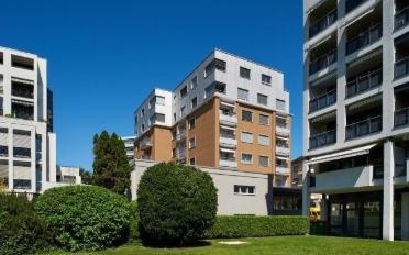 Apartment 2.5 rooms - image - 2