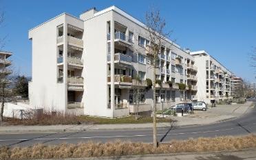 Wohnung 3.5 Zimmer - image - 1