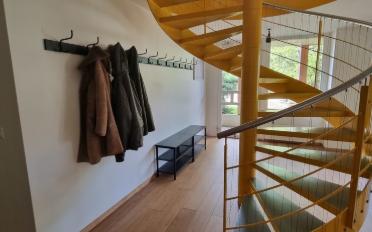 Single room 1 room - image - 5
