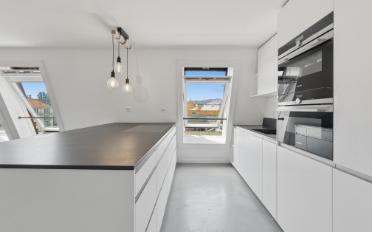 Terrace flat 4.5 rooms - image - 3