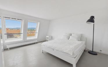 Terrace flat 4.5 rooms - image - 13