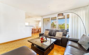 Wohnung 4.5 Zimmer - image - 5