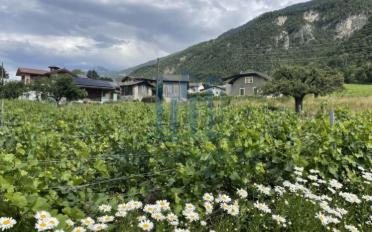 Villa 4.5 Zimmer - image - 9