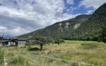 Wohnung 3.5 Zimmer - image - 4