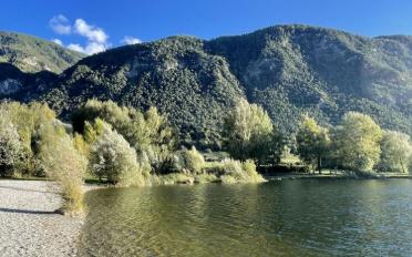 Wohnung 3.5 Zimmer - image - 12